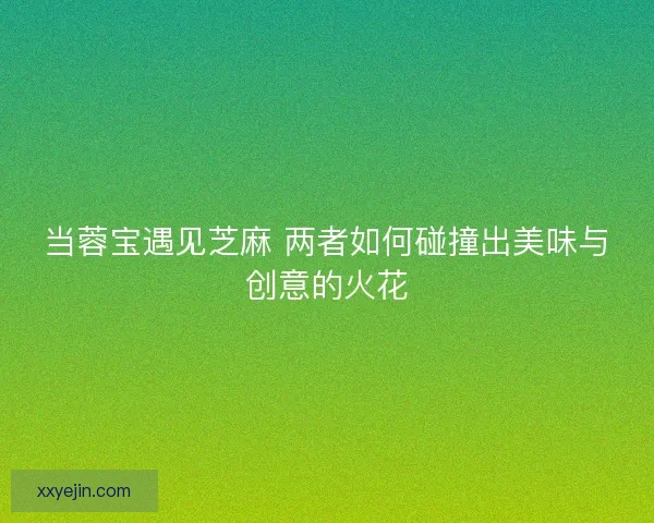 当蓉宝遇见芝麻 两者如何碰撞出美味与创意的火花